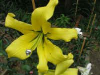 051001.JPG (83649 Byte)